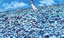 遇见更好的自己