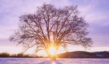 不期而遇的温暖