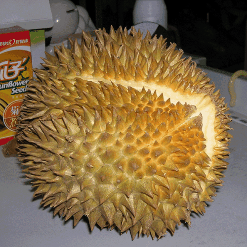 我爱榴莲