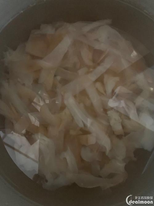初次切割水母皮