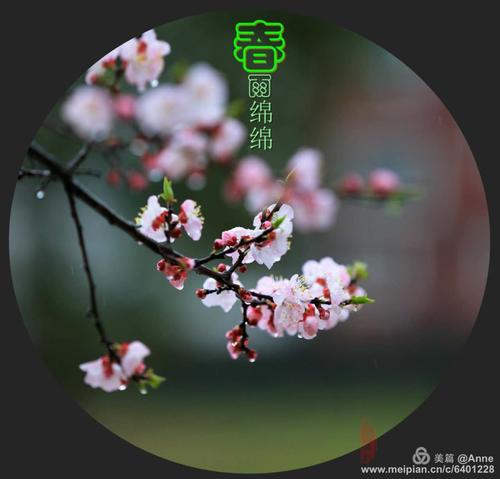 微风，细雨，无声音