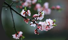 柔风细雨润物无声