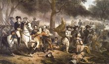 一场人类与动物的战争