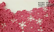 叶子的梦想（赵芃菲）_400字