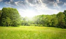 一个向着天空的微笑