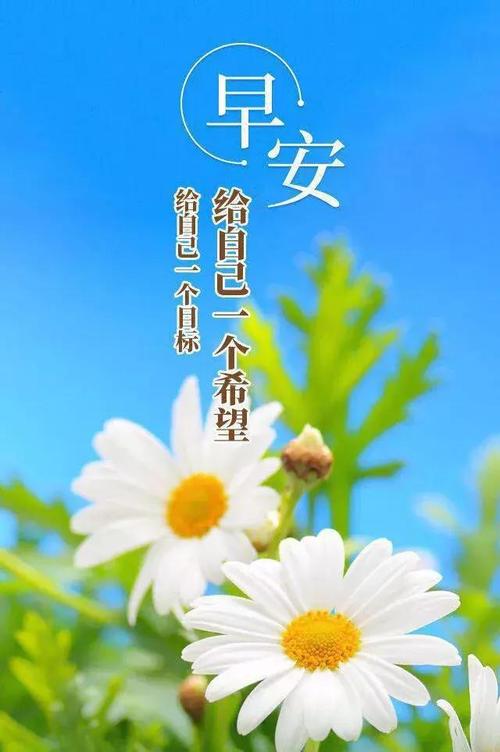 心语