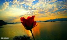 有你相伴，真好