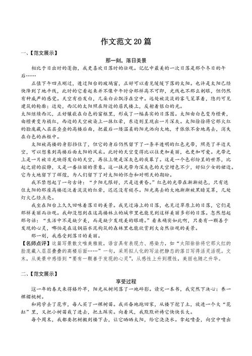 2018聊城高中入学考试主题作文作文：爱的香_900字（二）