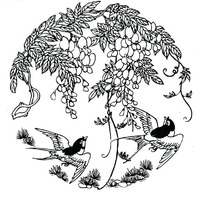 燕子的秘密