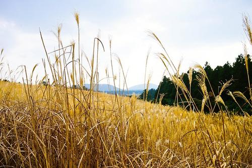 记忆是一首歌