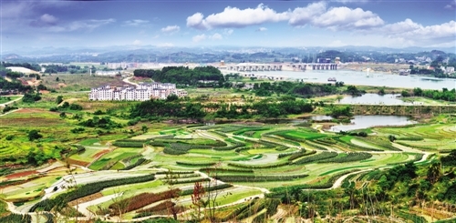 最美丽的乡村