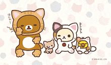 她感激，她拥有这份爱