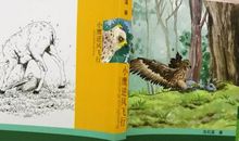 小鹰逆风飞行读后感