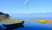 走，去另一个地方