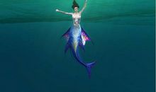 如果我是一条蓝鲸