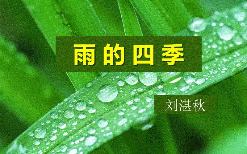 雨季