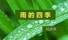 雨的四季