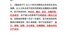 关于名著《骆驼祥子》里的好词好句