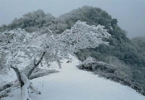 冬天的雪