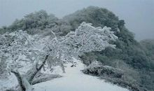 冬的雪雾霜