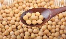 给黄豆的一封信