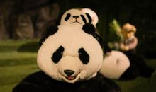 母亲笑了_1000字