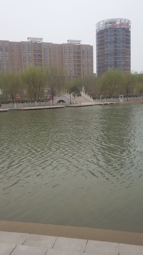 一颗明亮的心走