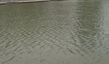 心明眼亮阔步走