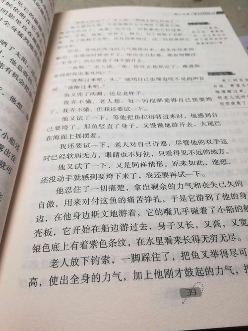 读完《老人与海》之后，人不会被打败