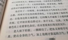 人不能被打败——《老人与海》读后感
