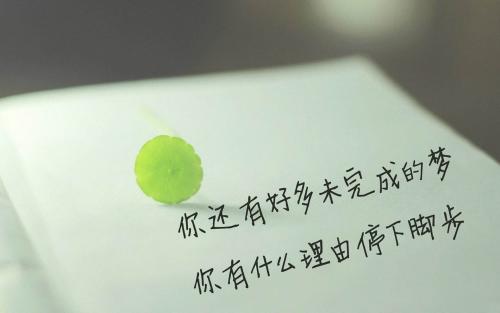 停下来见你