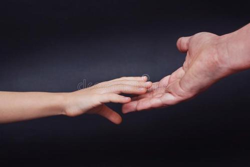 爸爸的手