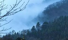 不慌不忙过一生