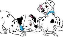 我的小狗“斑点”