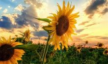 朋友是一生的温暖