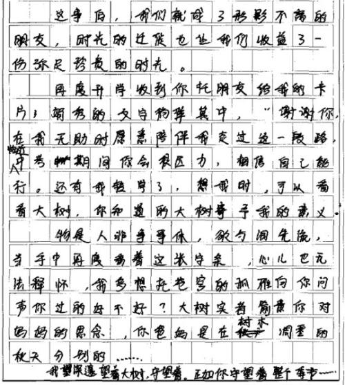 2009年高中入学考试优秀作文材料：星星的印记