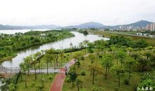 美丽的金山公园