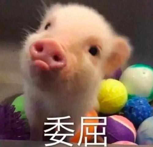 没有“之后”