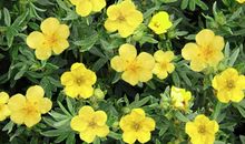 多姿多彩的夏天