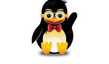 快乐的企鹅_600字