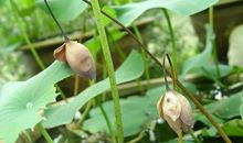 敢问世间快乐为何物