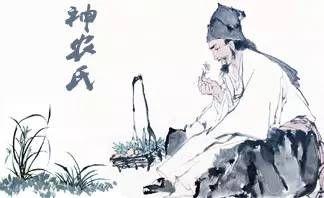 茶的故事
