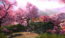 感动盛开在三月