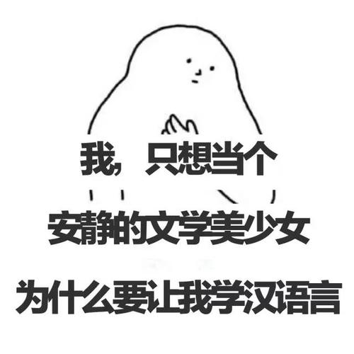 感受中国语言和文化的魅力