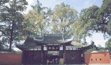 眉山出三苏，草木尽皆枯