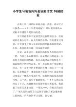 关于爸爸的作文：爸爸给我特别的爱_800个单词