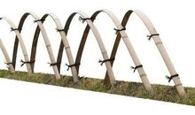 红鱼与篱笆_1200字