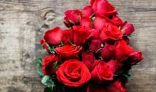 花开花落一度轮回_1200字