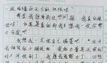 [PK赛]关于老师的作文：我们的语文老师_450字