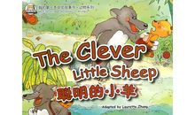 我和小动物的故事